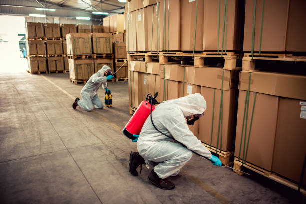 Flea Control Services in Joliet, IL