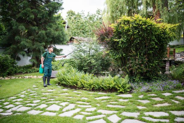 Best Ant Control Services  in Joliet, IL