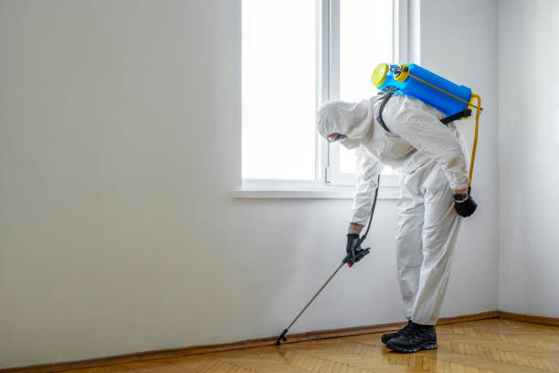 Best Pest Control Near Me in Joliet, IL