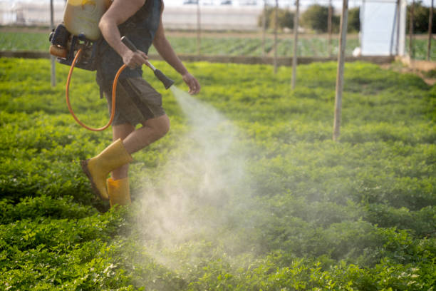 Best Local Pest Control Services  in Joliet, IL