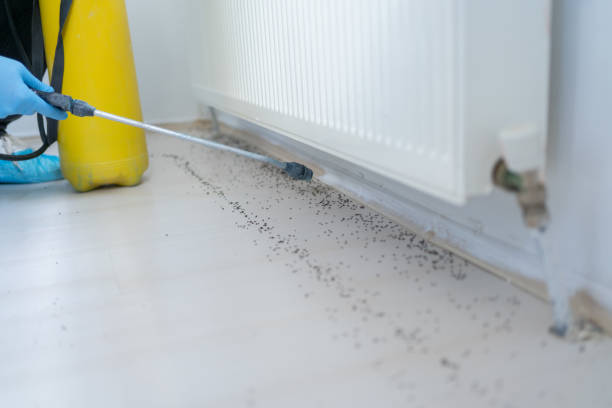 Best Affordable Pest Control Services  in Joliet, IL