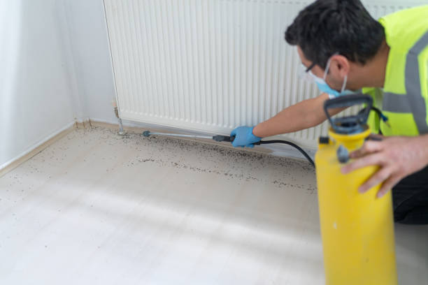 Best Pest Prevention Services  in Joliet, IL