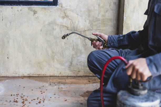 Best Flea Control Services  in Joliet, IL